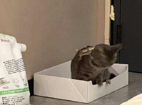 隐心江景 · Courtyard亲子休闲度假庭院民宿(宁国店)图片