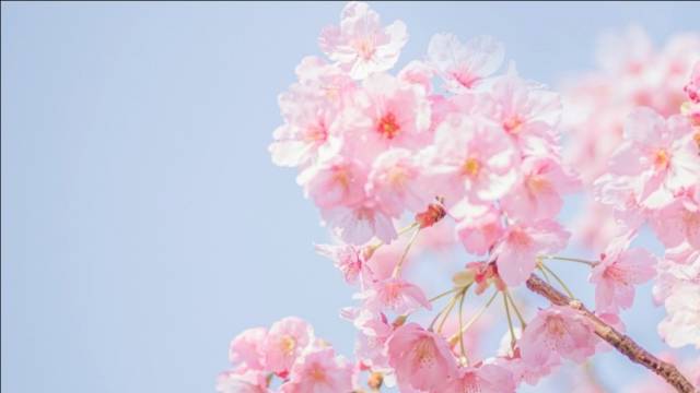 SLH·昆明玉龙湾湖景酒店图片