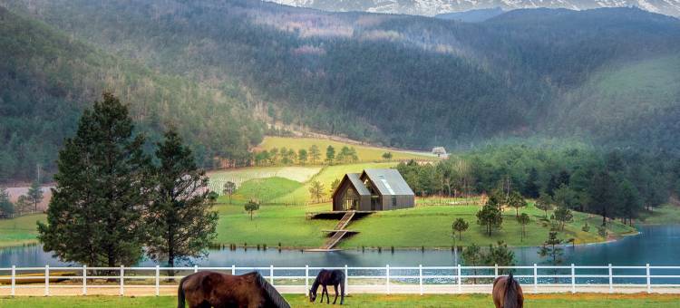 桃花坞•丽江雪山秘境野奢度假酒店图片