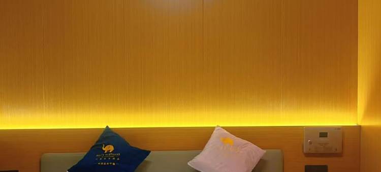 曲麻莱白象商务酒店图片