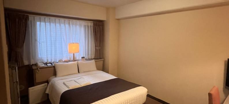 新宿利时达酒店(Hotel Listel Shinjuku)图片
