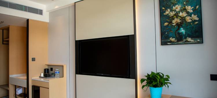 嘉城丽都国际酒店图片