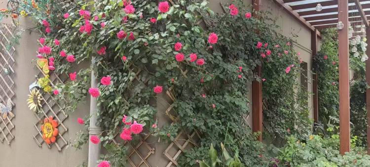 邹平云岭商务宾馆(邹周路白云一路店)图片