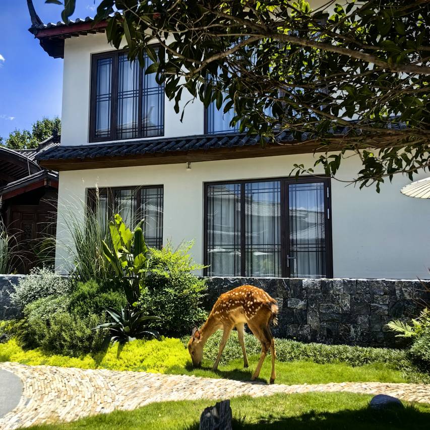 丽江古城南门檀程·纪酒店图片