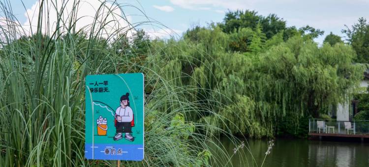 杭州天域开元观堂图片