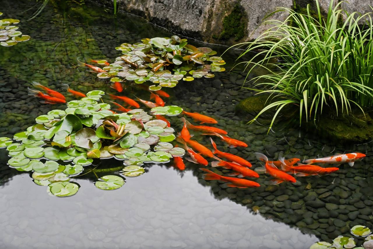 千岛湖燕山君澜度假酒店图片