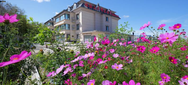 漠河林韵山居精品酒店(中国漠河美食一条街店)图片