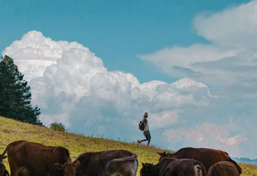 Lanping Shujiawu Township Luoguxuan Hiking HomestayHotel Overview