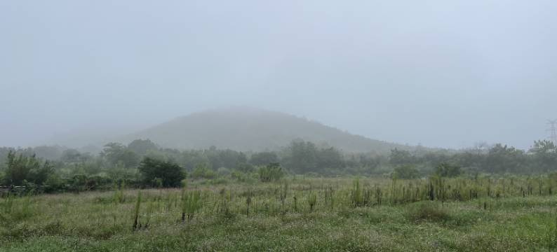 悠然居民宿图片