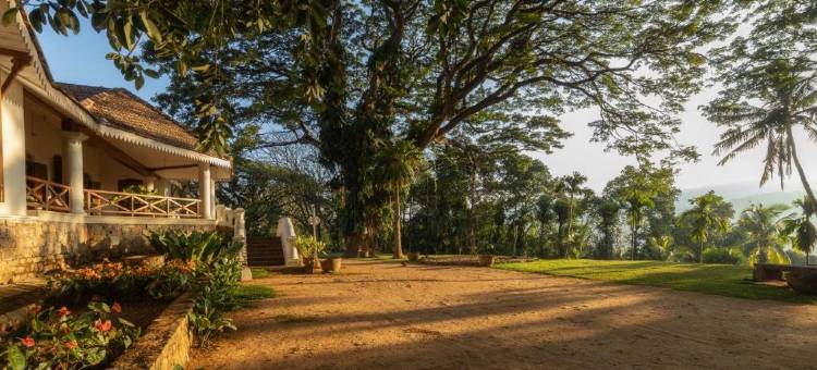 克洛庄园·七天使(Clodagh Manor House by Seven Angels)图片