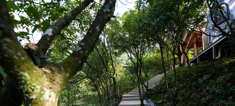 花筑·叠翠坞民宿图片