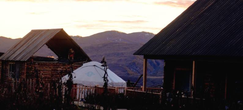 白哈巴野自在民宿图片