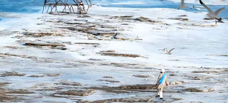 海韵淘缘|SeaView•青山枕碧海•山海入梦观景公寓(国际和平广场店)图片