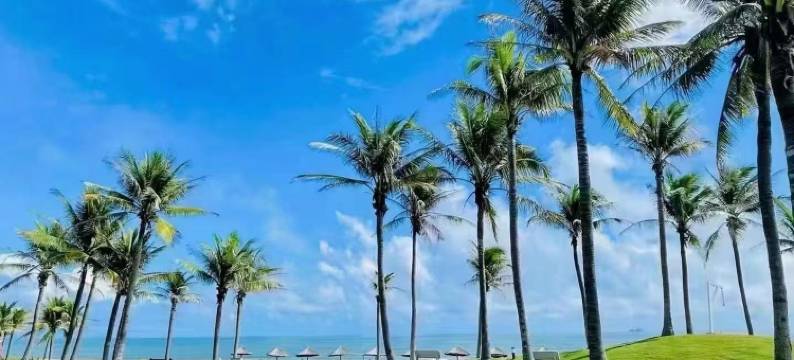 陵水椰林栖海民宿(海洋欢乐世界店)图片