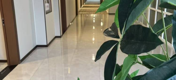 尚客优酒店(大同浑源玄武大道店)图片