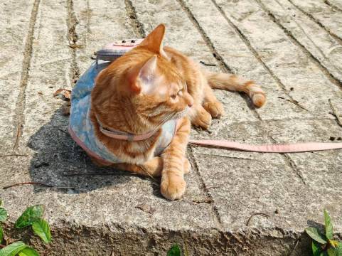 维也纳酒店(安顺市南马广场店)图片