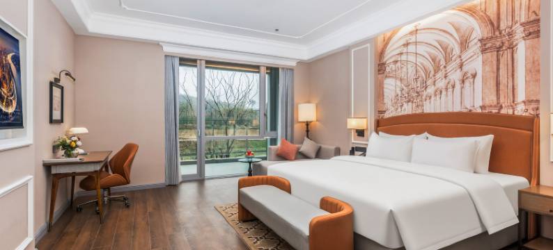 维也纳国际酒店(合肥闸山滑雪运动公园店)图片