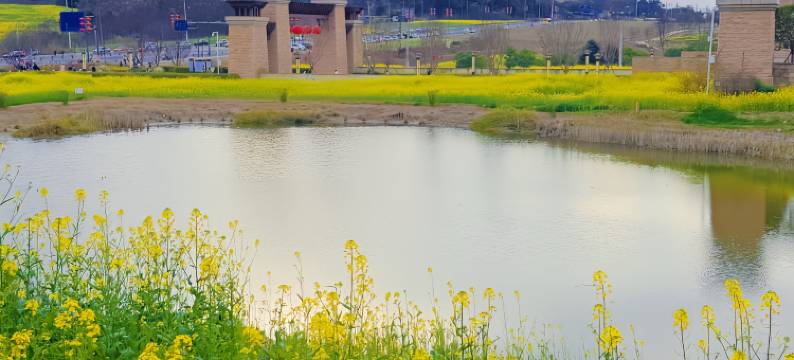 三穗良栖轻居智能酒店(三穗县人民政府高铁站店)图片