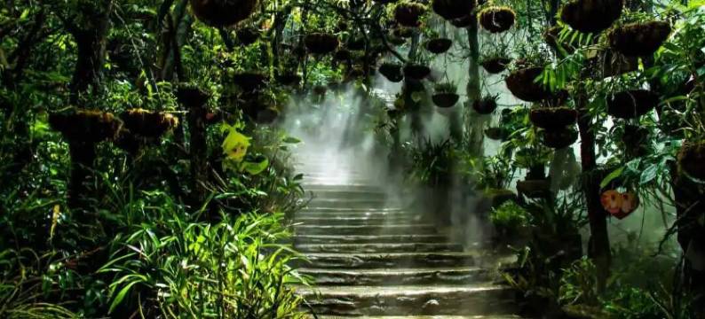 维也纳酒店(广南高铁客运站店)图片