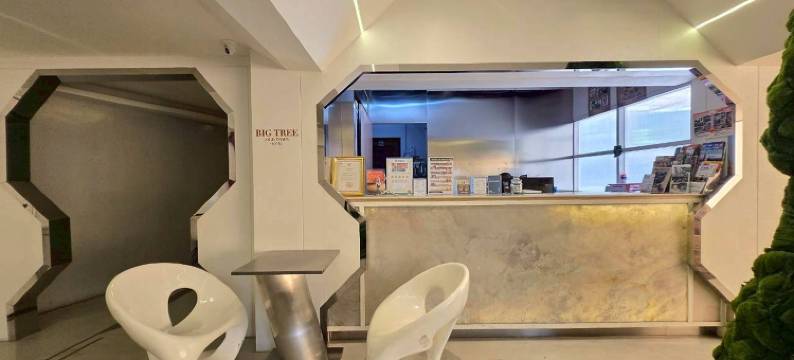 大树老城酒店(Big Tree Old Town Hotel)图片