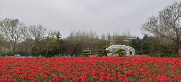 如家悠游电竞(烟台大学店)图片