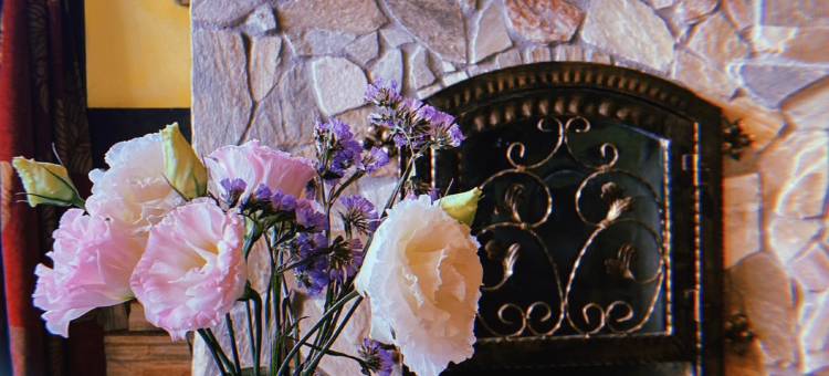 南投日初云来渡假庄园图片