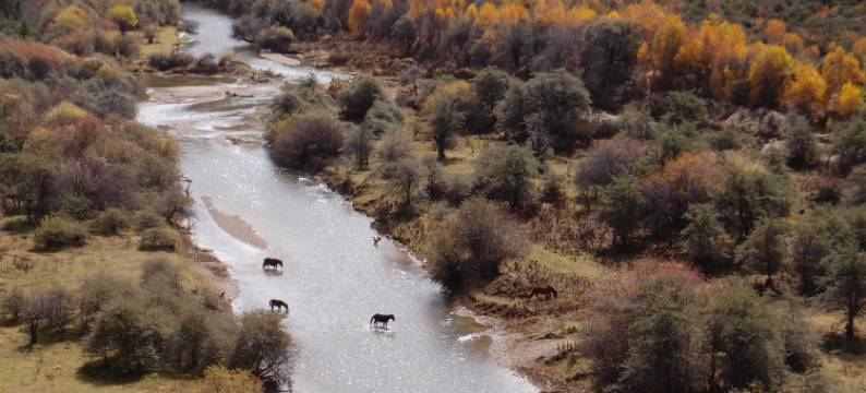 香格里拉仁安溜达农场法式庄园图片
