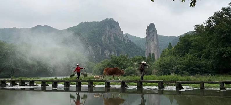 归山有舍・Lodge峰语拾光度假民宿(缙云仙都景区鼎湖峰店)图片