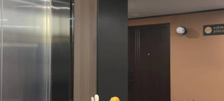 金桔酒店(长沙五一广场IFS国金中心店)图片