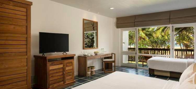 蓝色捷翼(Jetwing Blue)图片