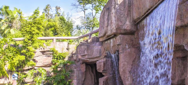 安远三百山温泉旅游度假区酒店图片