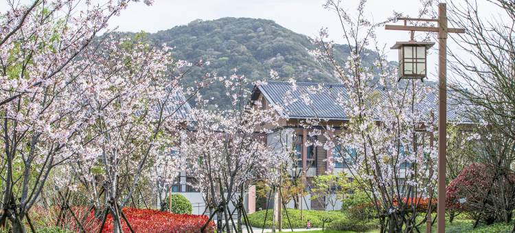 普陀山观音法界观音村居士学院图片