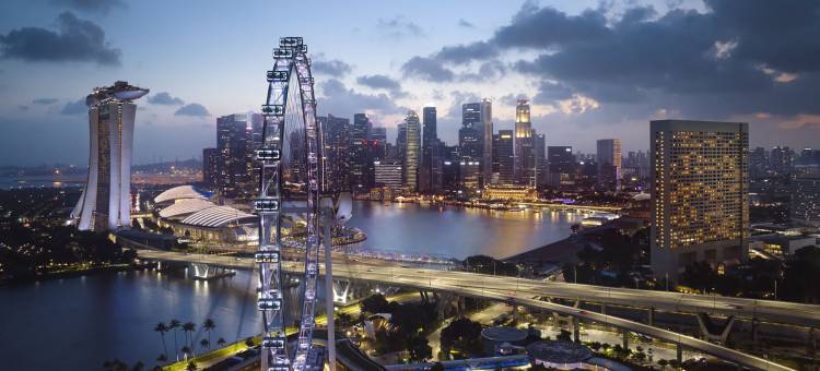 新加坡丽思卡尔顿美年酒店(The Ritz-Carlton, Millenia Singapore)图片