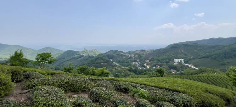 茶言阅舍茶庄园民宿图片