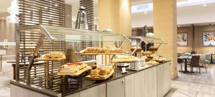 圣地亚哥艾美酒店(Le Méridien Santiago)图片