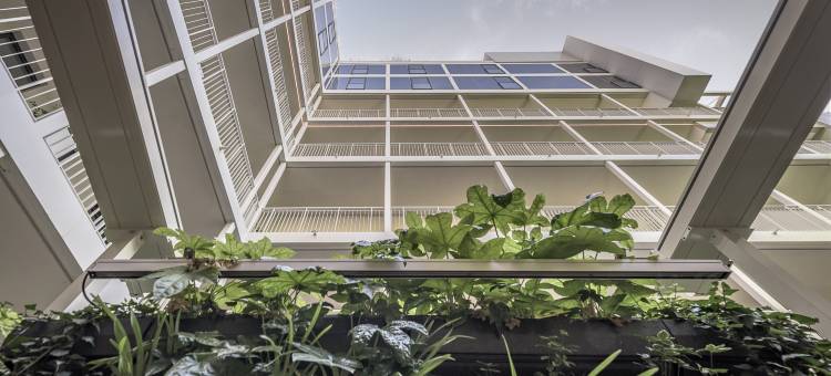 维里迪斯宫(Palazzo Viridis)图片