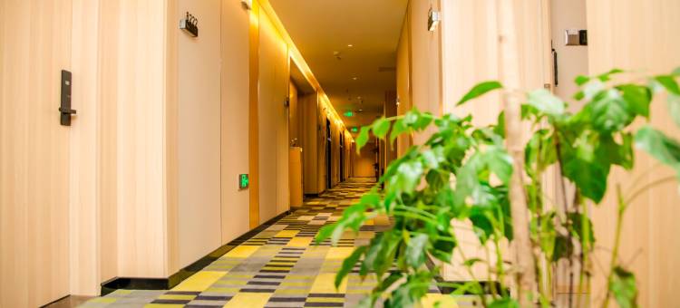 青皮树酒店(灵璧钟灵大道店)图片