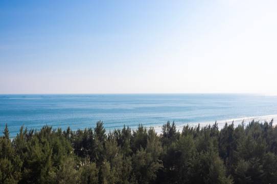 陵水清水湾沁禾酒店(清水湾沙滩店)图片