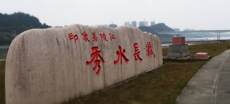 仪陇领地国际酒店图片