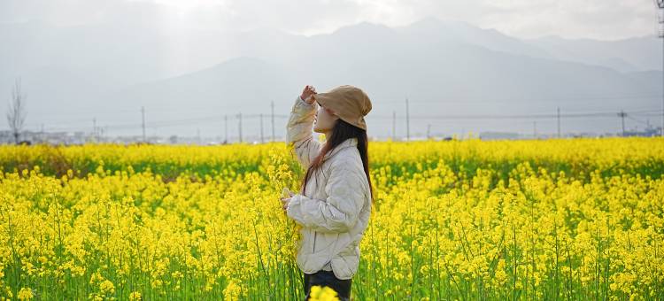大理好柿•洱海隐奢度假民宿图片