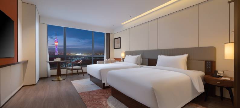 六安西晟开元名庭酒店图片