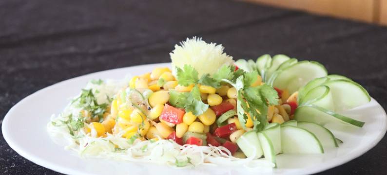 希瑞卡纳克酒店(Shree Kanak Udaipur)图片