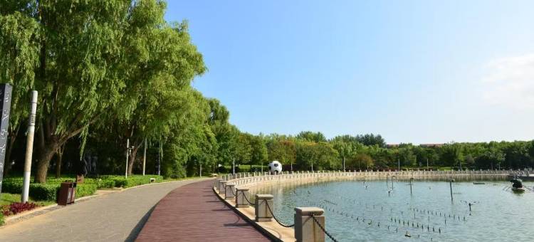 北戴河星辰屿海民宿(刘庄夜市店)图片