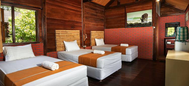 格兰德普伦库旅馆(Plengkung lodge G-land)图片