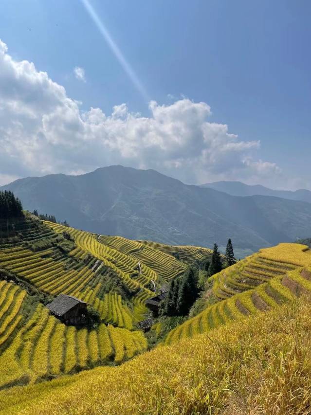 阡陌云居・云栖之约轻奢度假民宿(龙脊梯田九龙五虎观景台店)图片