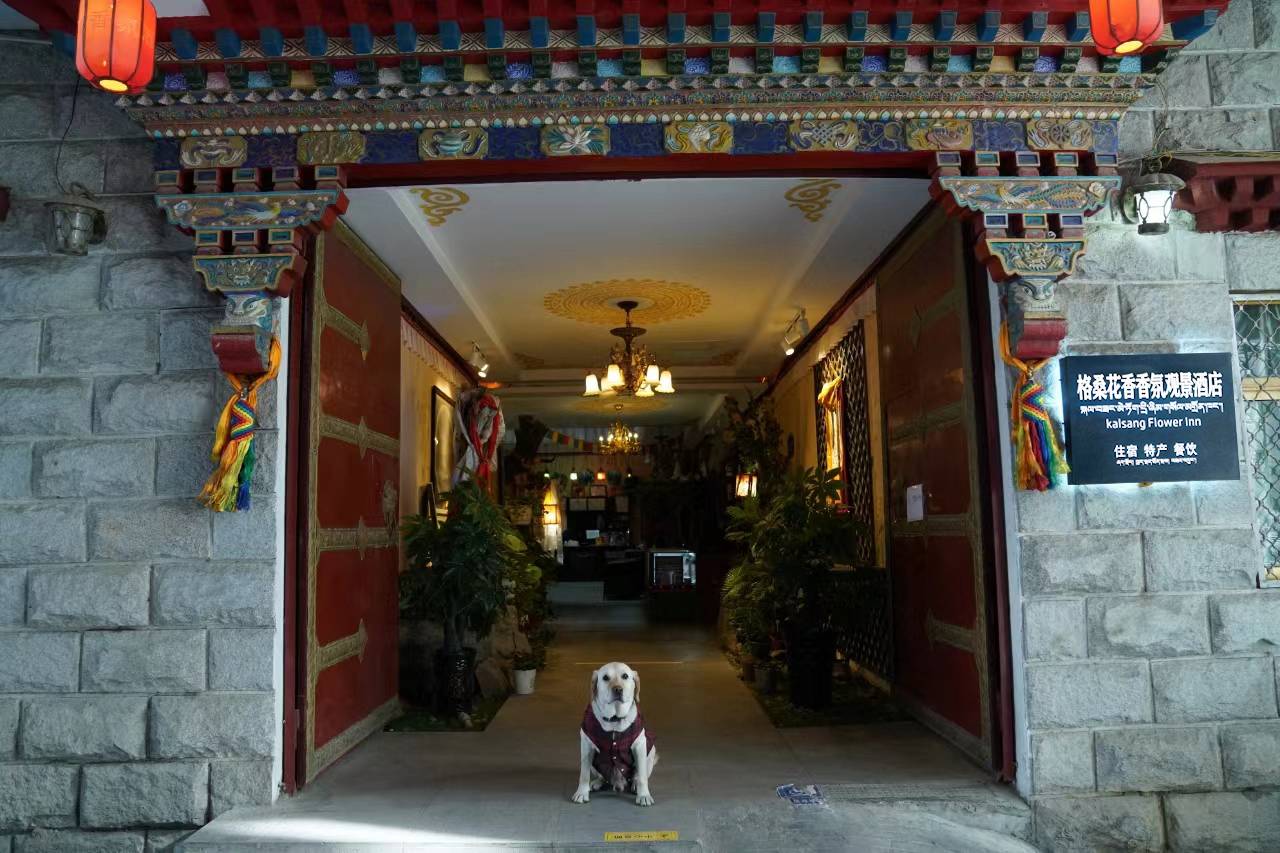 拉萨格桑花香香氛酒店图片