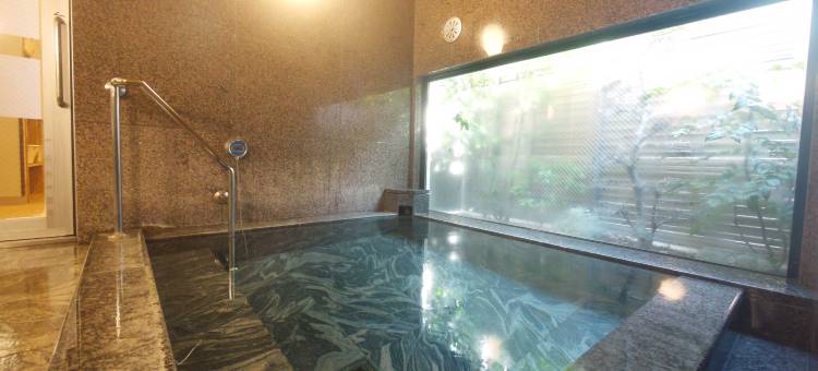 露樱酒店御殿场站南店(Hotel Route-Inn Gotenba Eki-Minami)图片