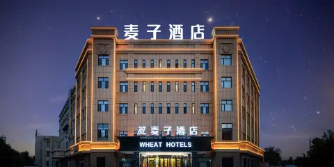 鄯善麥子酒店(庫木塔格沙漠店)