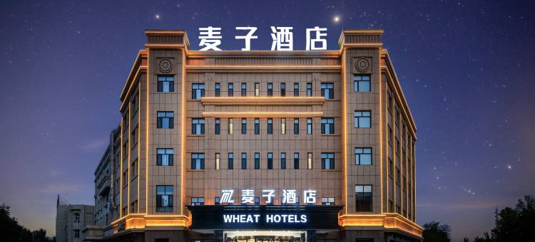 鄯善麦子酒店(库木塔格沙漠店)图片