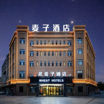 鄯善麦子酒店(库木塔格沙漠店)图片